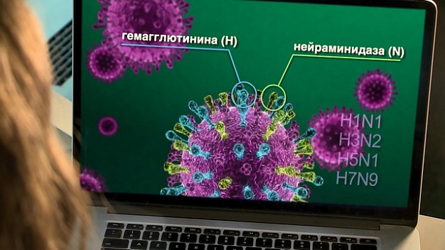 Заболеваемость ОРВИ и гриппом в регионе на 24% ниже эпидпорога 