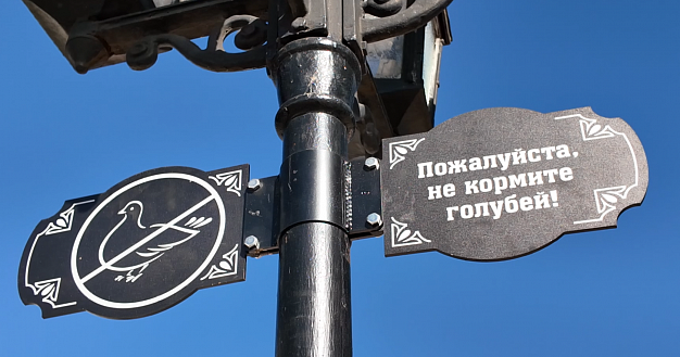 В Шуе решили бороться с голубями на главных улицах