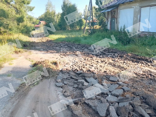 В Пучежском районе больше полугода не могут избавиться от бычков-нелегалов с лейкозом 
