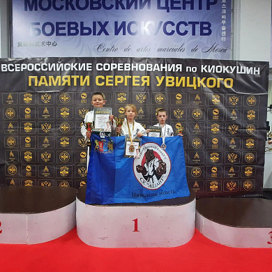 Ивановские спортсмены завоевали семь медалей на турнире по киокушину в Москве