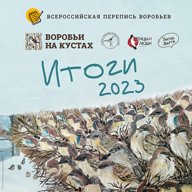 В Ивановской области насчитали 237 воробьев