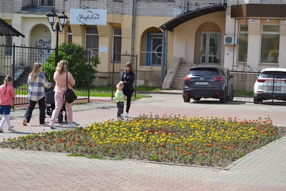 В Иванове выкапывают тюльпаны на городских клумбах