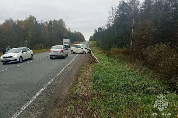 Двое взрослых и один ребенок пострадали при столкновении четырех авто в Лежневском районе 
