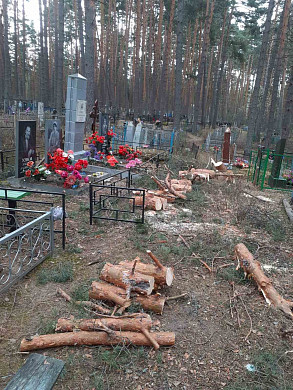 В Холуе местные жители расчистили заваленное деревьями кладбище