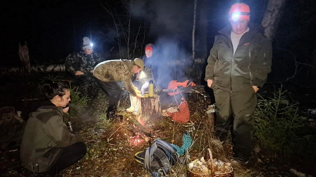  В Ивановской области в лесу нашли Надежду Константиновну 