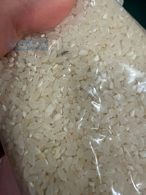Соцзащита прокомментировала выдачу продуктового набора с насекомыми