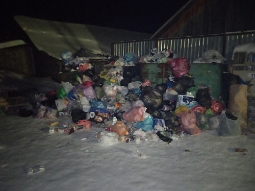 Жители Пучежа жалуются, что их город тонет в бытовых отходах