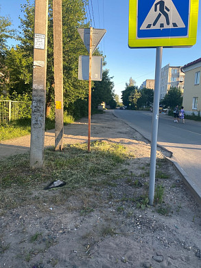 В Тейкове наблюдают массовую гибель птиц
