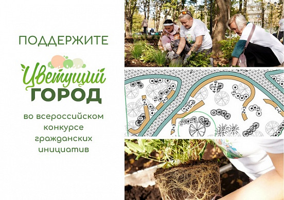 Ивановцы могут поддержать «Цветущий город»  