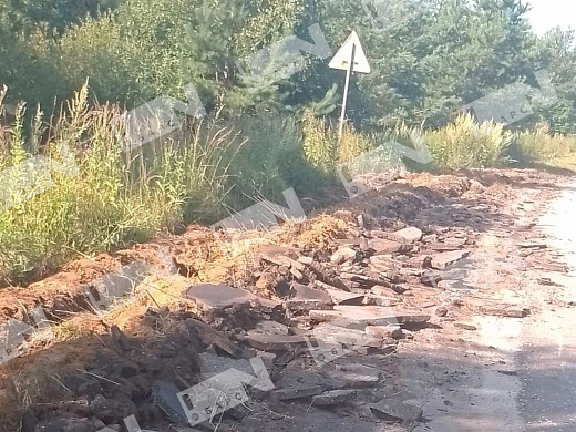 В Пучежском районе больше полугода не могут избавиться от бычков-нелегалов с лейкозом 
