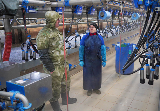 За 5 лет продуктивность в молочном производстве в регионе выросла на 17%