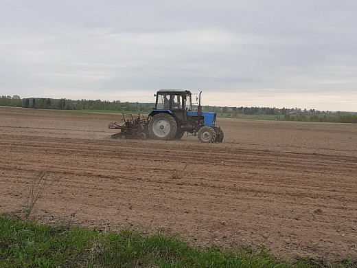 В колхозе имени Арсения приступили к севу кукурузы