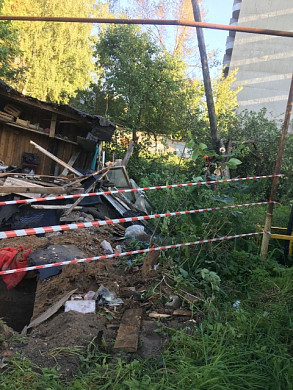 В Иванове спилили деревья ради стоянки