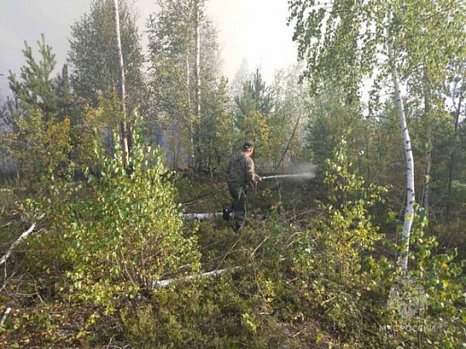 В Ивановской области обнаружен очаг лесного пожара