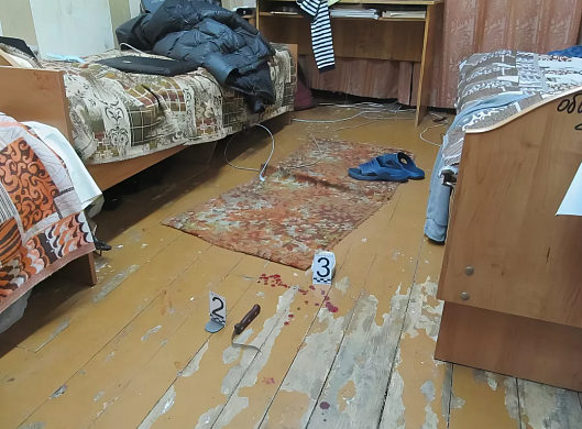 Жительница Родников обнаружила в квартире труп убитого отца