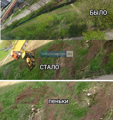 В Иванове тепловики уничтожили деревья на Кохомском шоссе