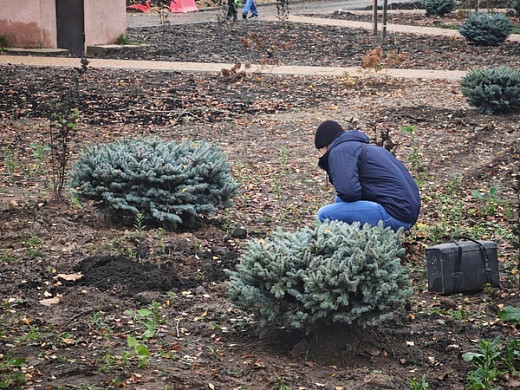  В Фурманове местные жители крадут растения с благоустроенной набережной 