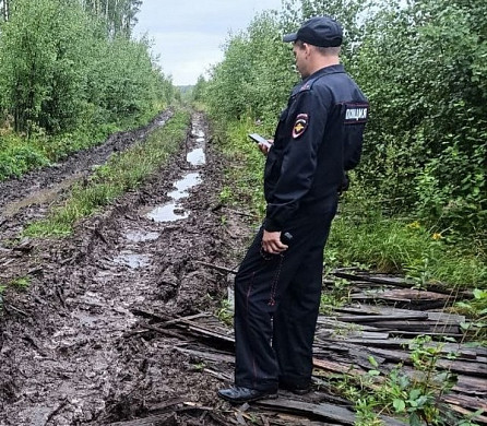  В Ивановской области в лесу нашли тело пропавшего грибника 