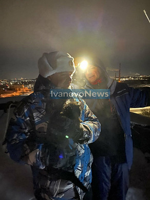 В Ивановской области кошка месяц провела в вентиляционной шахте, в которую она провалилась