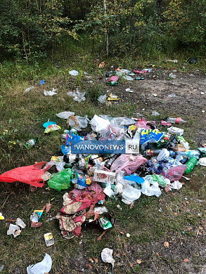В зоне отдыха у парка Степанова образовалась стихийная свалка