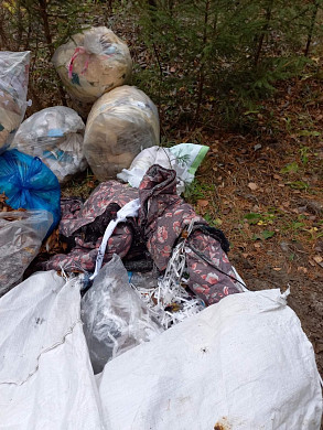 В Ивановском районе в лесу обнаружили два десятка огромных пластиковых мешков 