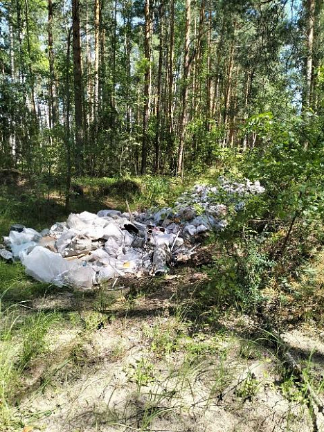 В Ивановской области появилась большая свалка