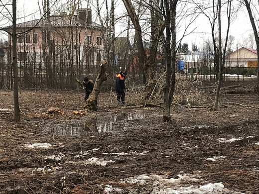 В Палехе территорию у кафе «Сказка» хотят сделать по-настоящему сказочной