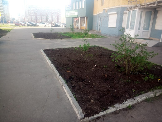 В Московском микрорайоне дворник победил в борьбе за газон