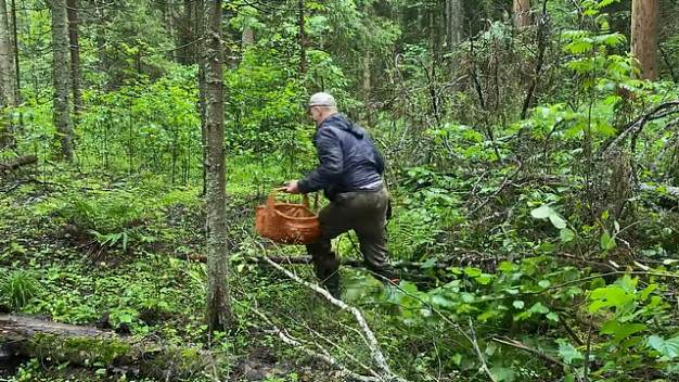 В воскресенье в лесах Ивановской области заблудились 15 человек