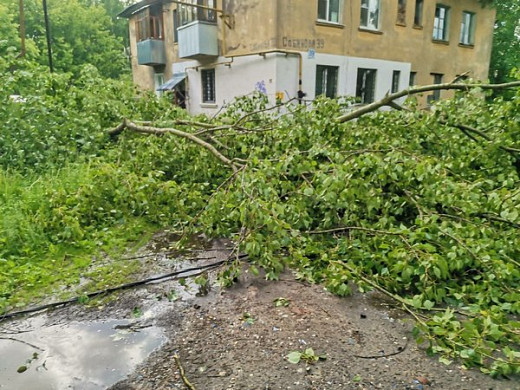  В Иванове ветер повалил более 50 деревьев и оставил без света более 6 тысяч человек 