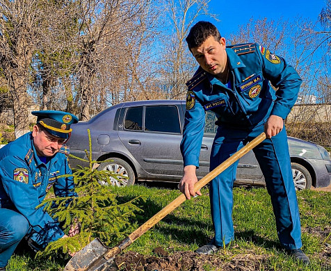 В ивановской пожарной части посадили «Лес Победы»