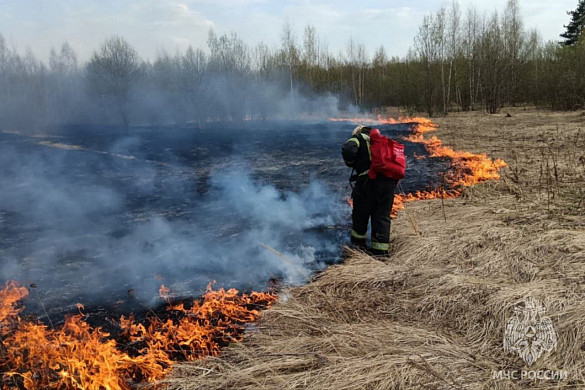 За сутки в Ивановской области сгорело 13 га сухой травы