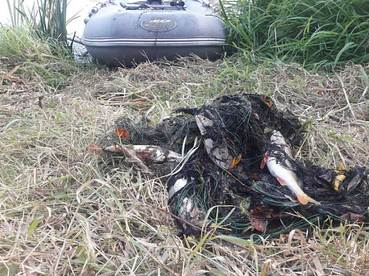  В Ивановской области поймали двух браконьеров