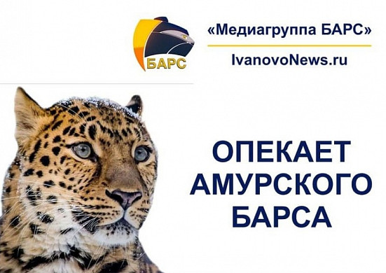 У ивановской медиагруппы «БАРС» появился живой символ в зоопарке