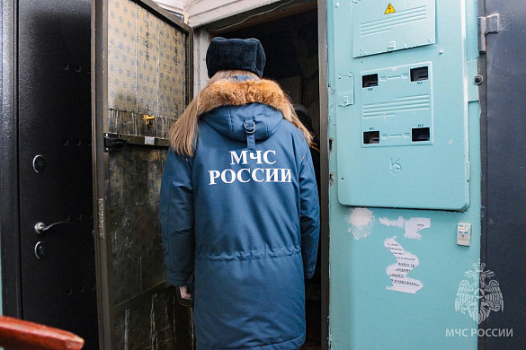 В Иванове сотрудница МЧС спасла домашних питомцев, потерявших хозяина