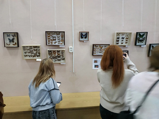 В Кинешме открылась выставка бабочек из разных стран