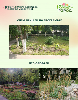 «Цветущий город» предлагает помощь энтузиастам в озеленении Иванова