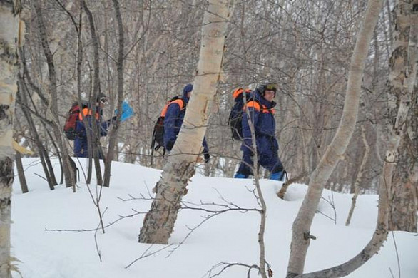Пропавшего в лесу жителя Палехского района нашли