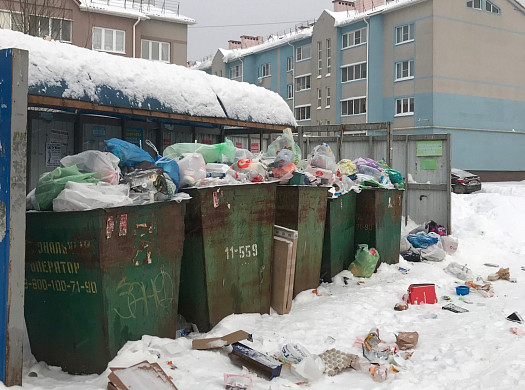 В Новой Ильинке - мусорный коллапс