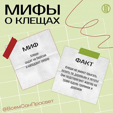 Укусы клещей в Ивановской области сходят на нет