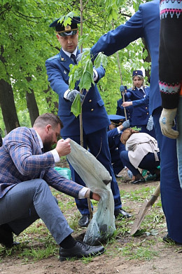 За год в Иванове высадили более 2000 деревьев и декоративных кустарников