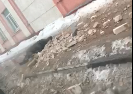 В центре Иванова девушку убило отвалившимся от здания куском стены 