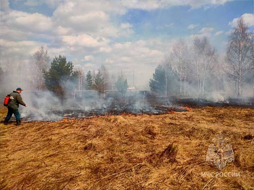 В Ивановской области из-за пала травы едва не сгорела целая деревня