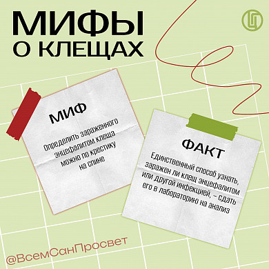 Укусы клещей в Ивановской области сходят на нет