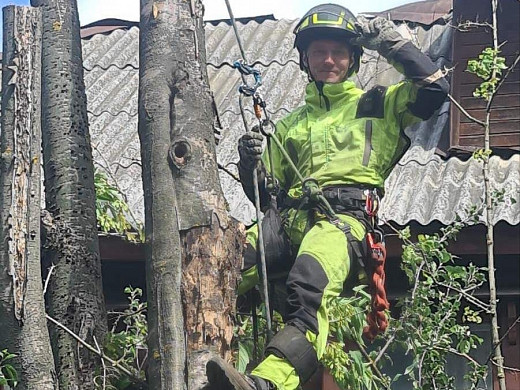  В Иванове убрали все поврежденные ураганом деревья 