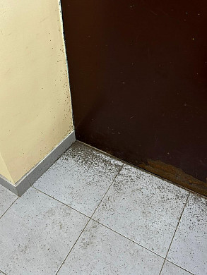 В детском саду в Колянове завелись мошки и пахнет канализацией