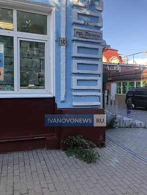 В центре Иванова из тротуарной плитки выросли помидоры