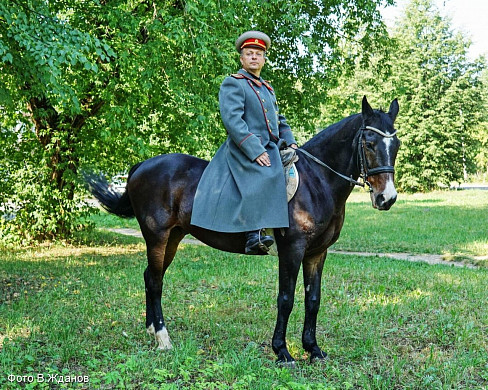 В Ивановской области «собирают памятник» из живых людей и коня