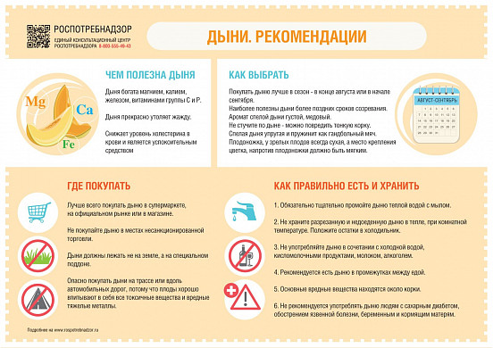 Роспотребнадзор рассказал ивановцам, как правильно выбирать арбузы и дыни