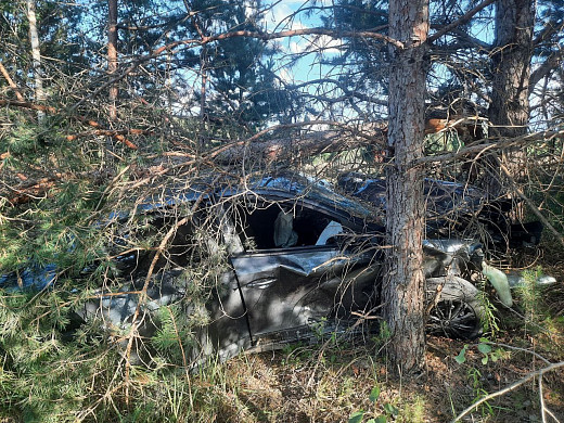 Подробности аварии в Пестяковском районе, где погиб ребенок: ФОТО